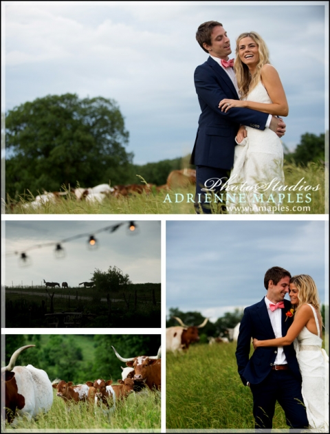 circle-s-ranch-summer-storm--bride-groom-portraits-longhorns-scenicjpg