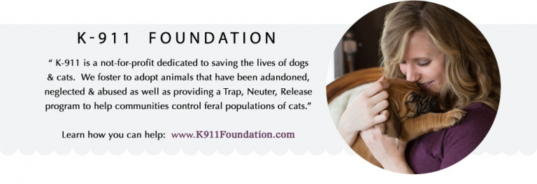 k911-foundation-rescuing-animals-in-need