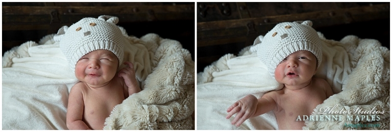 newborn baby portraits